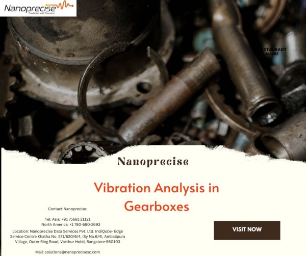 Vibration Monitoring Services - Nanoprecise Sci Corp