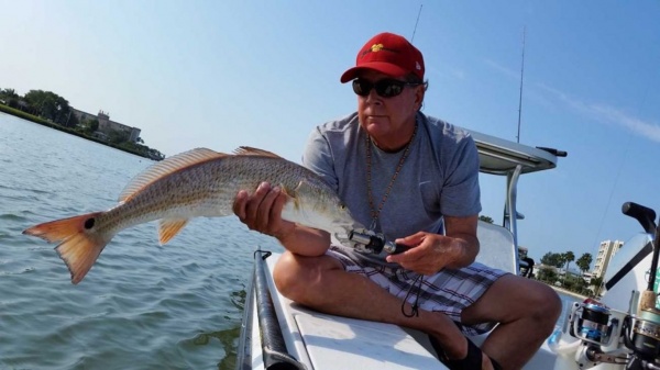 What Can You Do To Maximize Your Fishing Charters Experience in Tampa Bay?