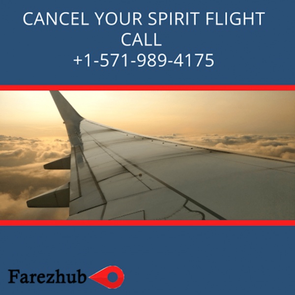 Spirit cancelled my Flight- Farezhub