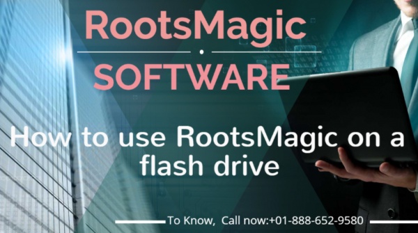 How to use RootsMagic To-Go on a flash-drive?