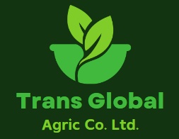 Buy nuts and seeds online | transglobalagricco.com