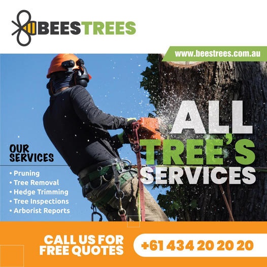 Tree Removal and Residential Tree Cutting Service