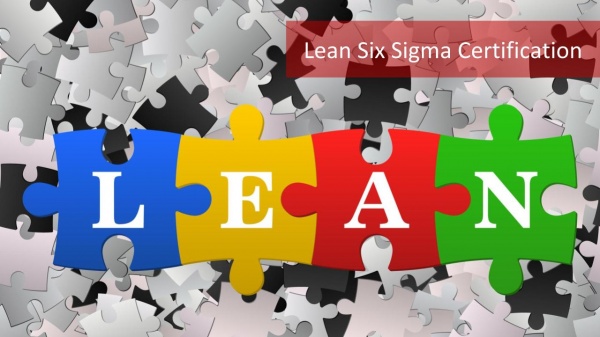 Why Should You Opt For A Six Sigma Certification?