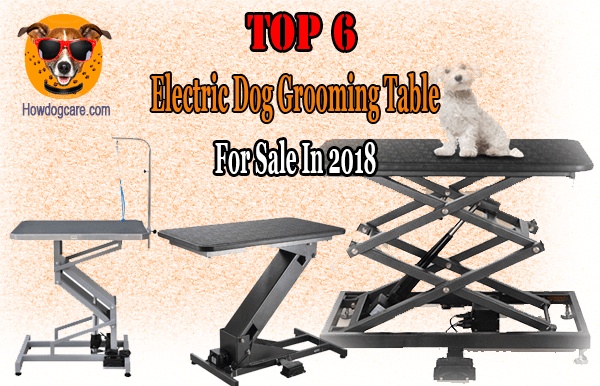Top 6 Electric Dog Grooming Table Reviews