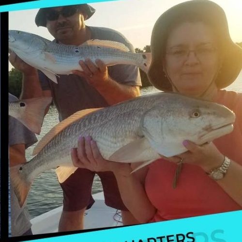 How to Get the Most Out Of Fishing Charters in Clearwater FL?